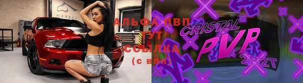 apvp Алексин