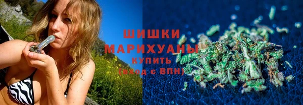 ГАЛЛЮЦИНОГЕННЫЕ ГРИБЫ Алзамай