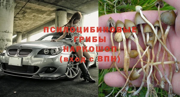 метадон Алексеевка