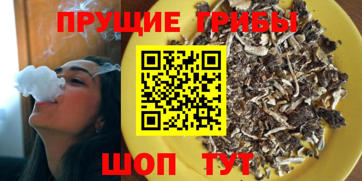 Галлюциногенные грибы GOLDEN TEACHER  Вход с VPN  даркнет сайт  Новошахтинск 
