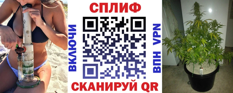 МАРИХУАНА AK-47  mega зеркало  Новошахтинск  где можно купить  